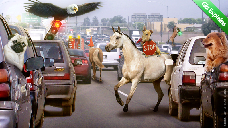 Illustration for article titled Top Stories: Thursday, March 24, 2011